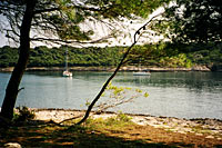 golfo