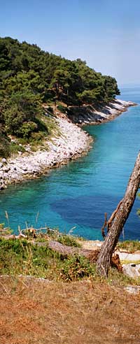 costa ripida