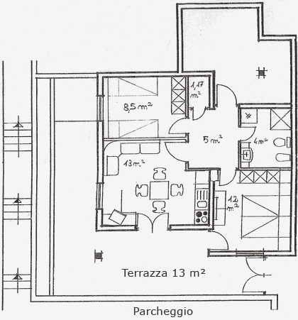 Piantina Anethum