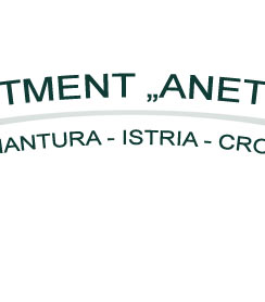 Anethum